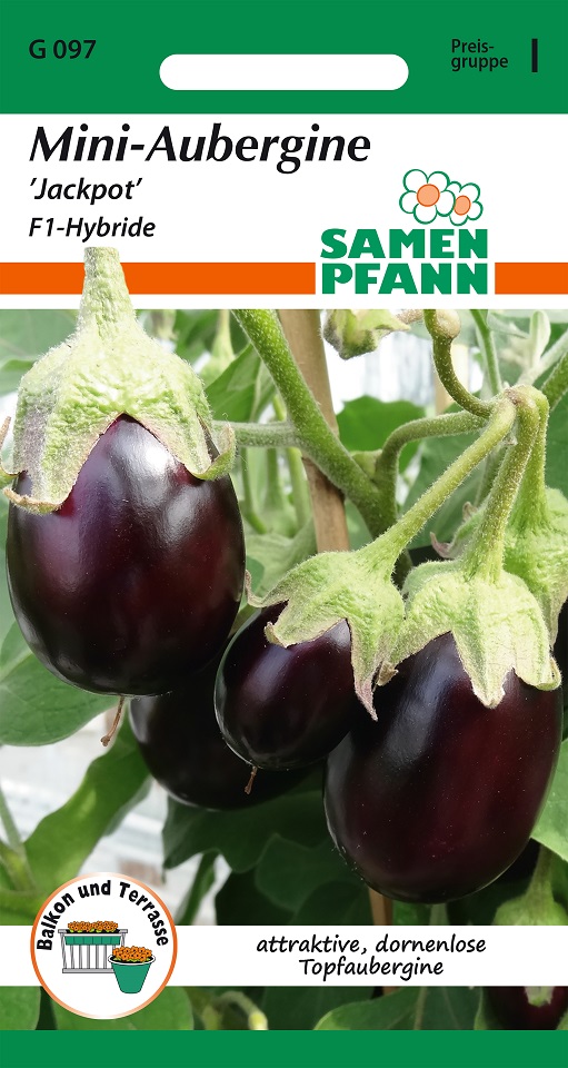 Aubergine Mini Jackpot F1 Samen