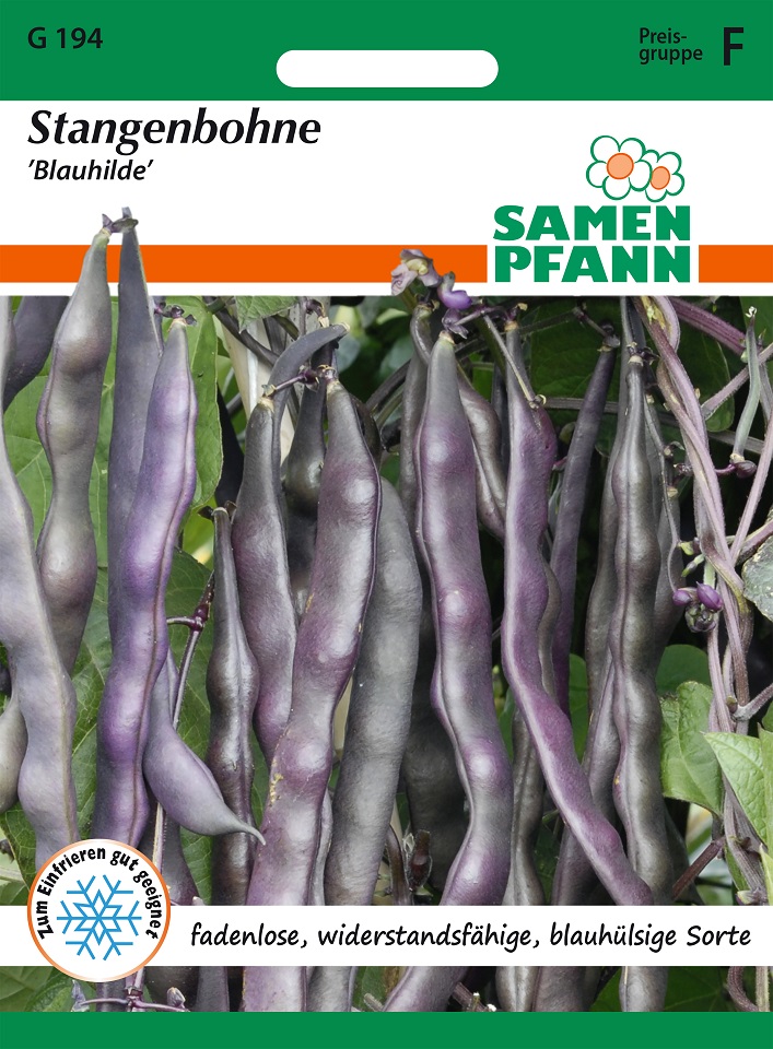 Stangenbohnen Blauhilde Samen