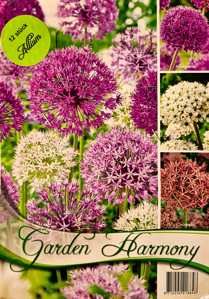 Alliumzwiebeln Kollektion - Garden Harmony