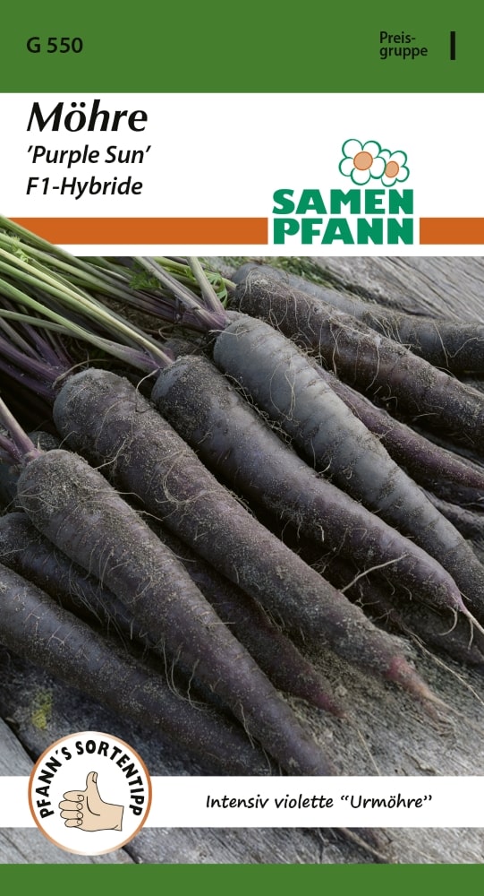 Möhre Purple Sun Samen