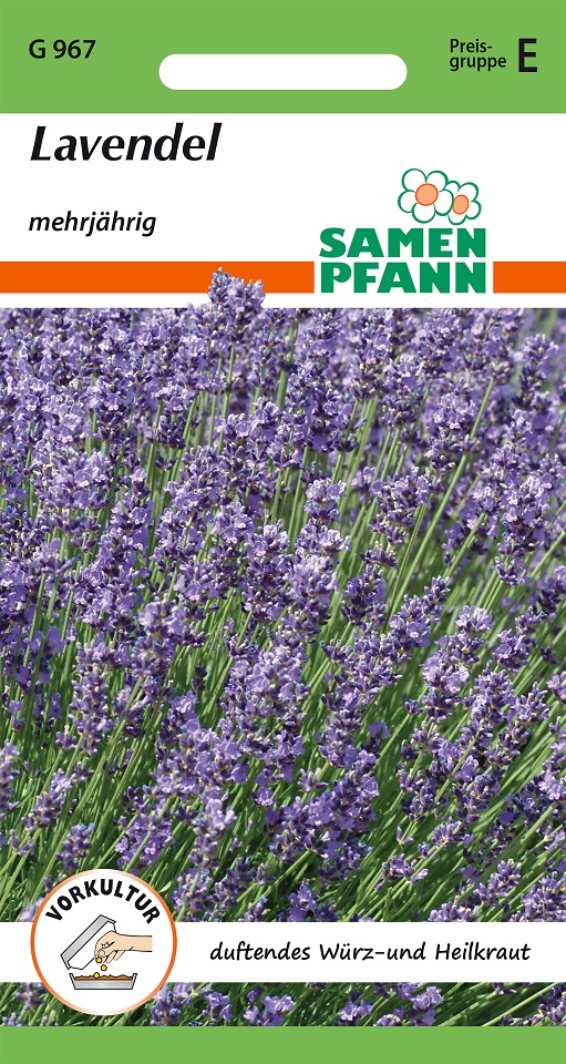 Lavendel Samen