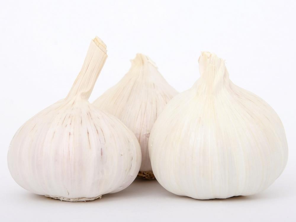 Knoblauch, 1 Knolle