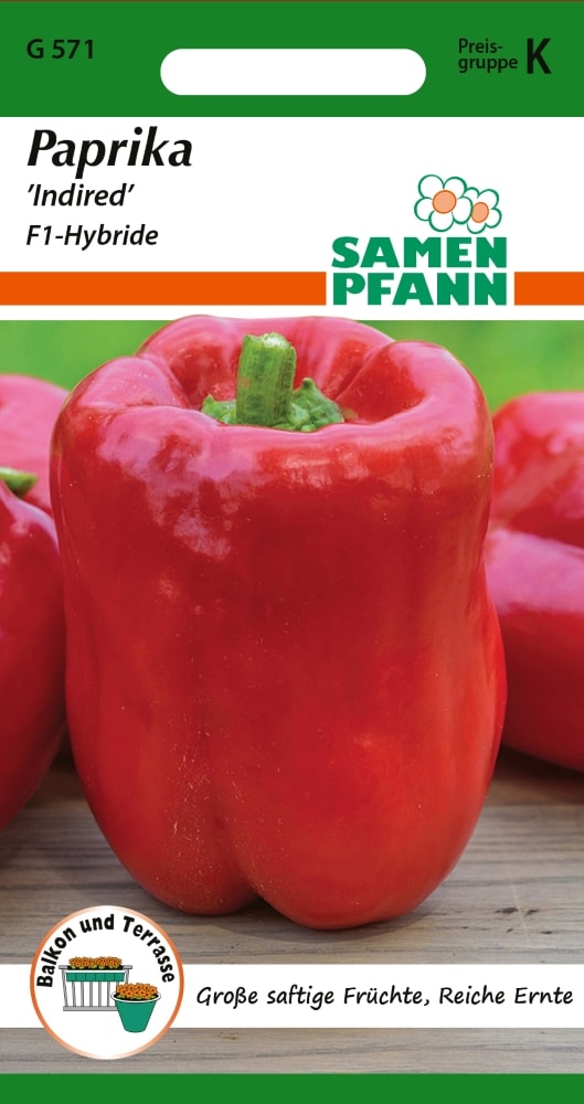 Paprika Indired Samen