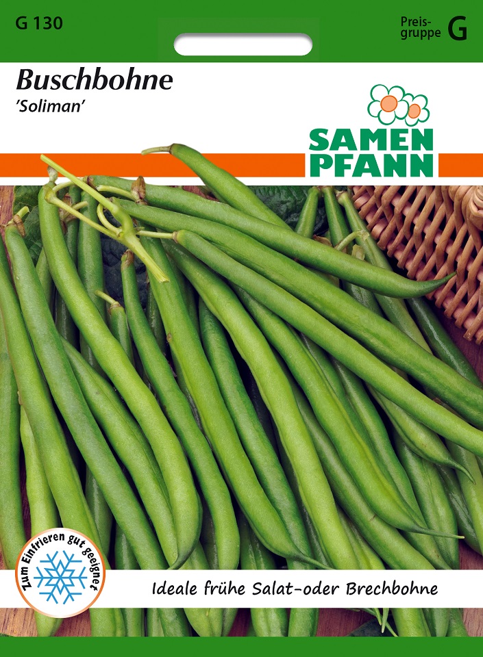 Buschbohnen Soliman Samen