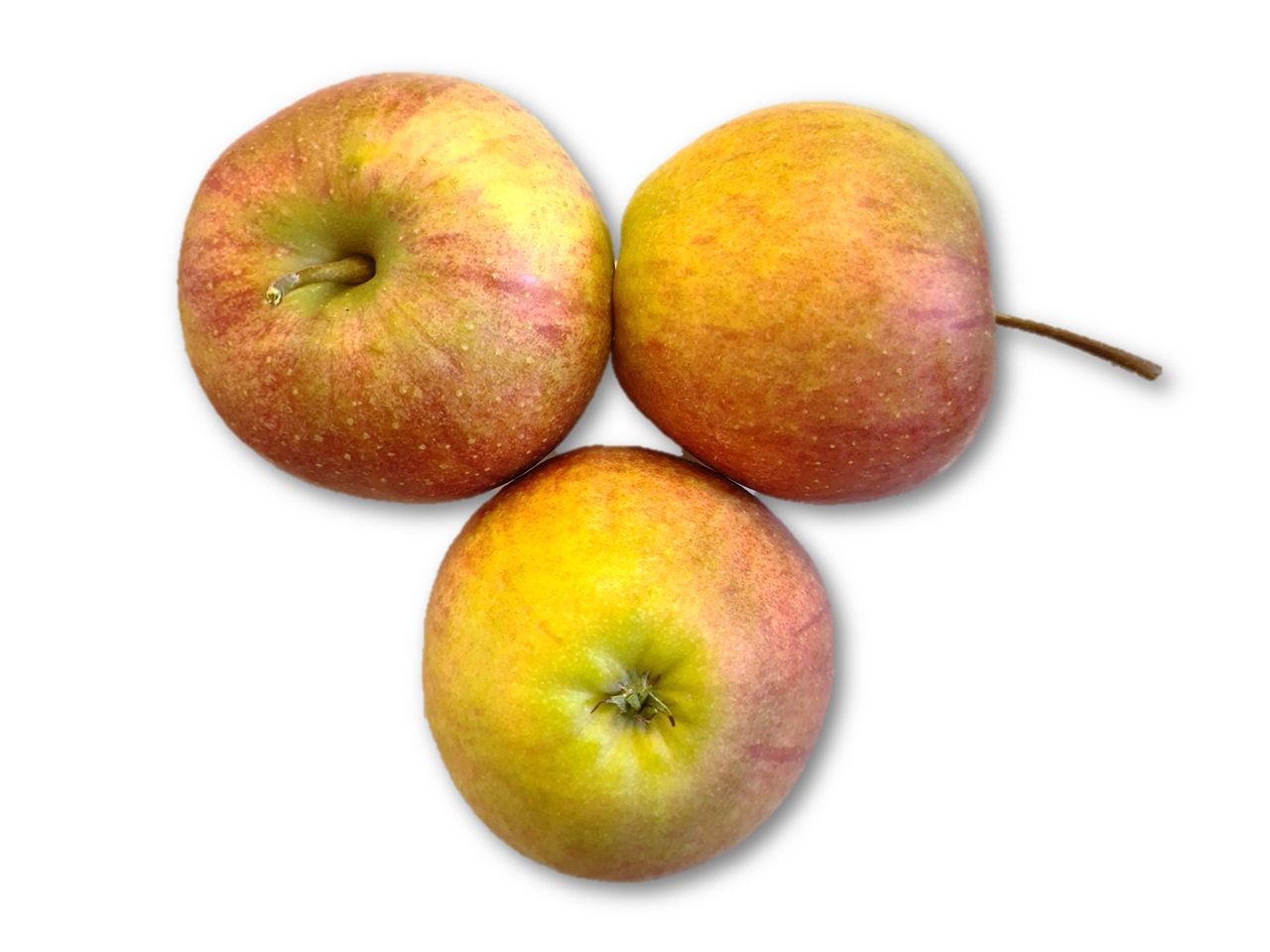 Rubinette
