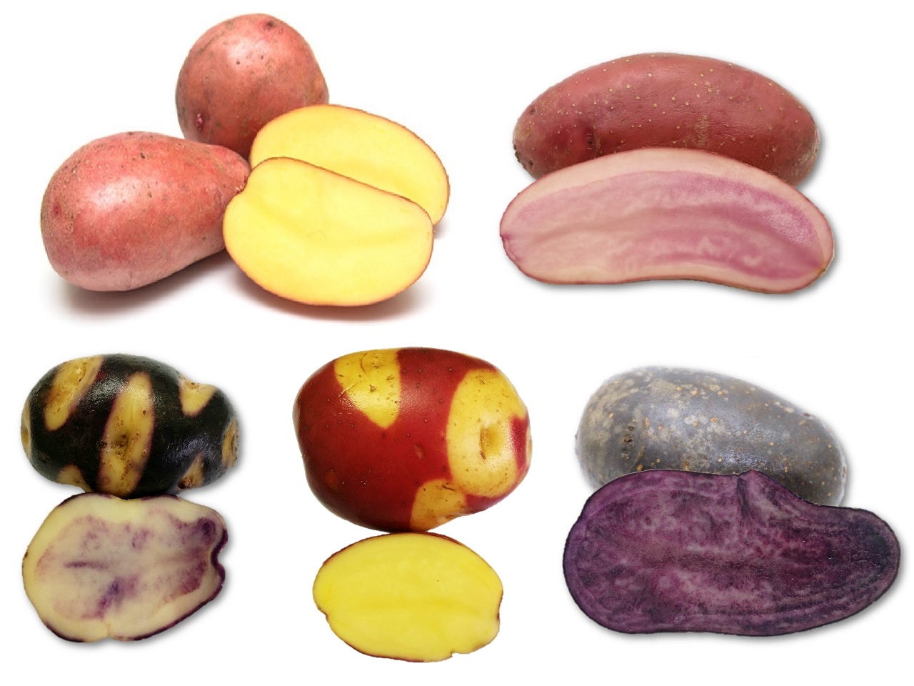 Weihnachten wird bunt