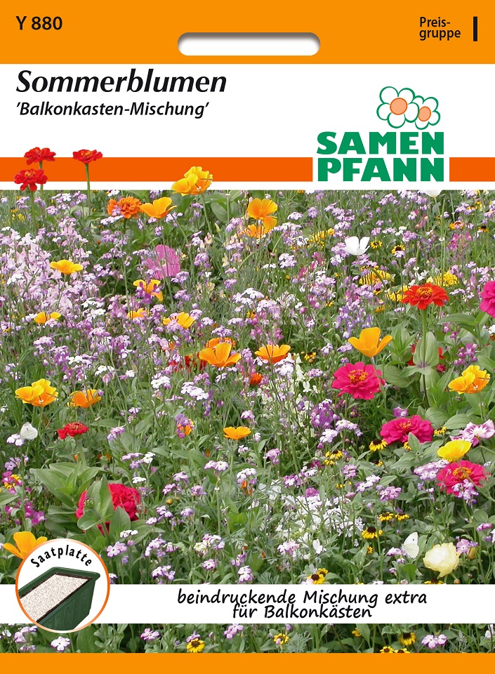 Sommerblumen Balkonkastenmischung Saatteppich 10x80 cm