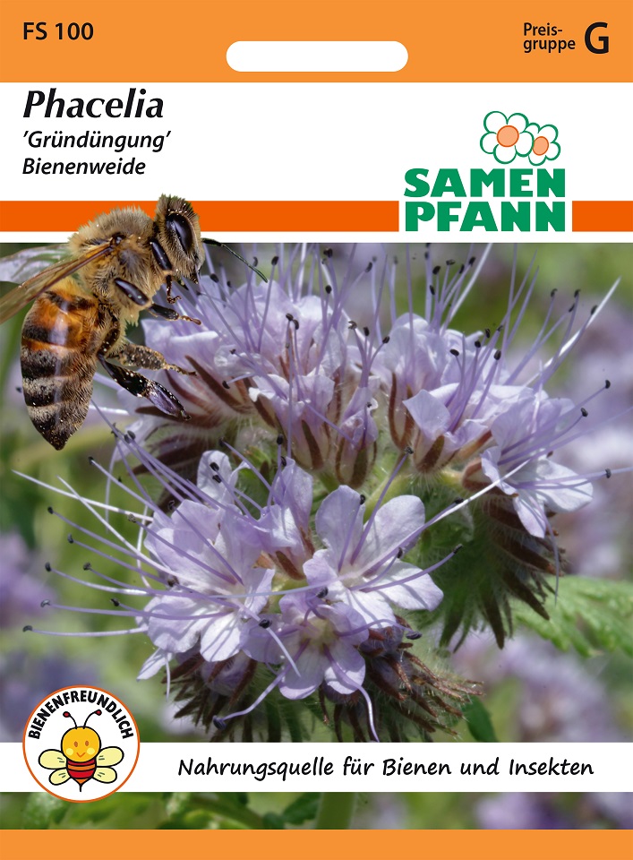 Gründüngung Phacelia Samen