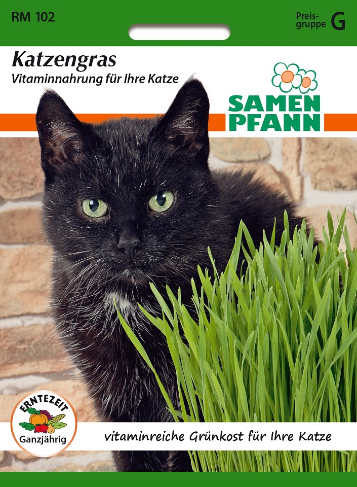 Katzengras Samen