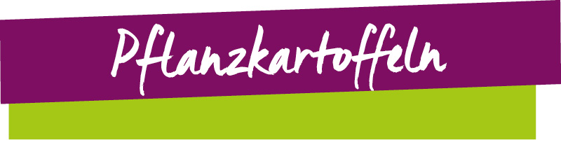 Zertifizierte Pflanzkartoffeln Zertifizierte Pflanzkartoffeln